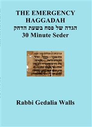 THE EMERGENCY HAGGADAH  cover image