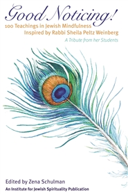 Good Noticing: 100 Teachings in Jewish Mindfulness Inspired by Rabbi Sheila Peltz Weinberg cover image