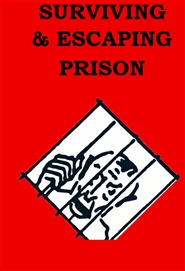 Prison: Survival & Escape cover image