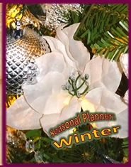 Seasonal Planner: WINTER cover image