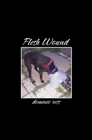 flesh wound cover image