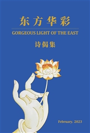 Gorgeous Light of the East诗偈集 cover image